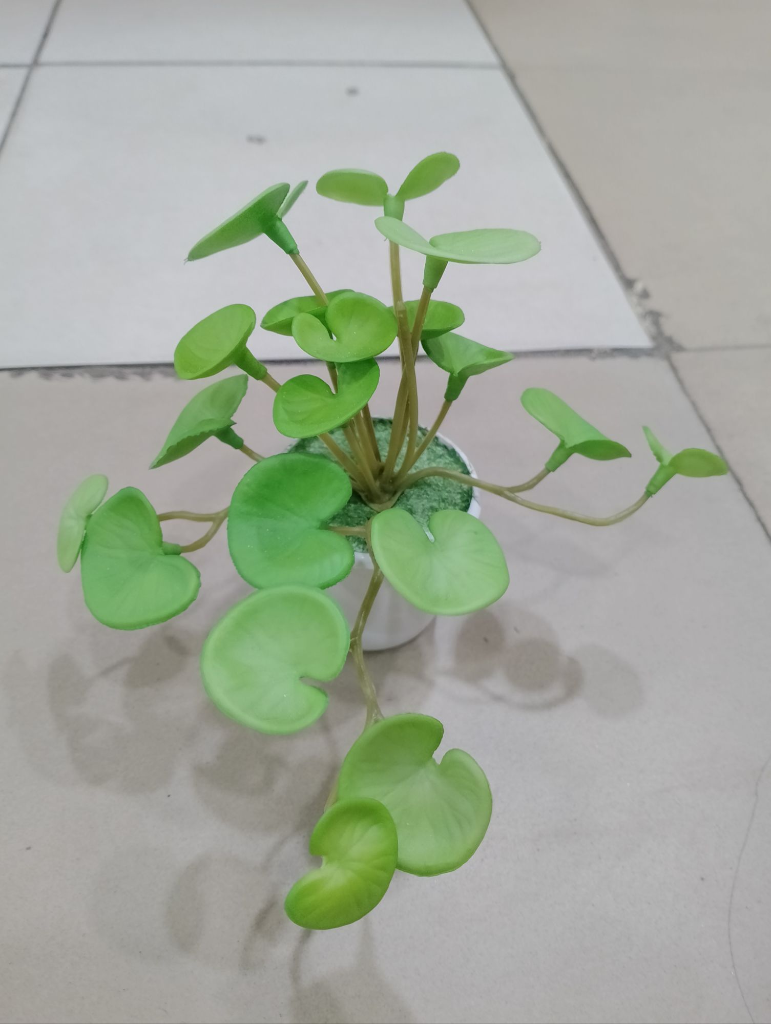 Artificial Thankuni Leaf Tree