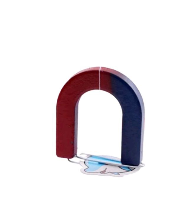 Kids Educational Magnet Set With Bar Ring U-shaped Magnets Science Experiment Kits Physics Labs for School. 