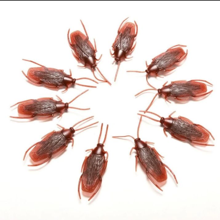 "05 piece Funny Trick Joke Toys 4*1.8cm Model Simulation Fake Rubber Cockroach Cock Roach Bug Roaches Toy Prank"