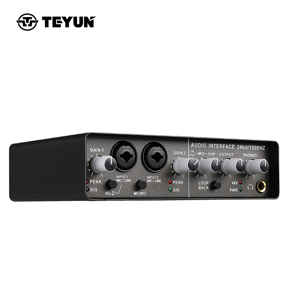 TEYUN Q-24 Q-22 Q-12 Professional Sound Card Audio Mixer Channel Monitoring Electric Guitar Live Recording For Studio Singing. 