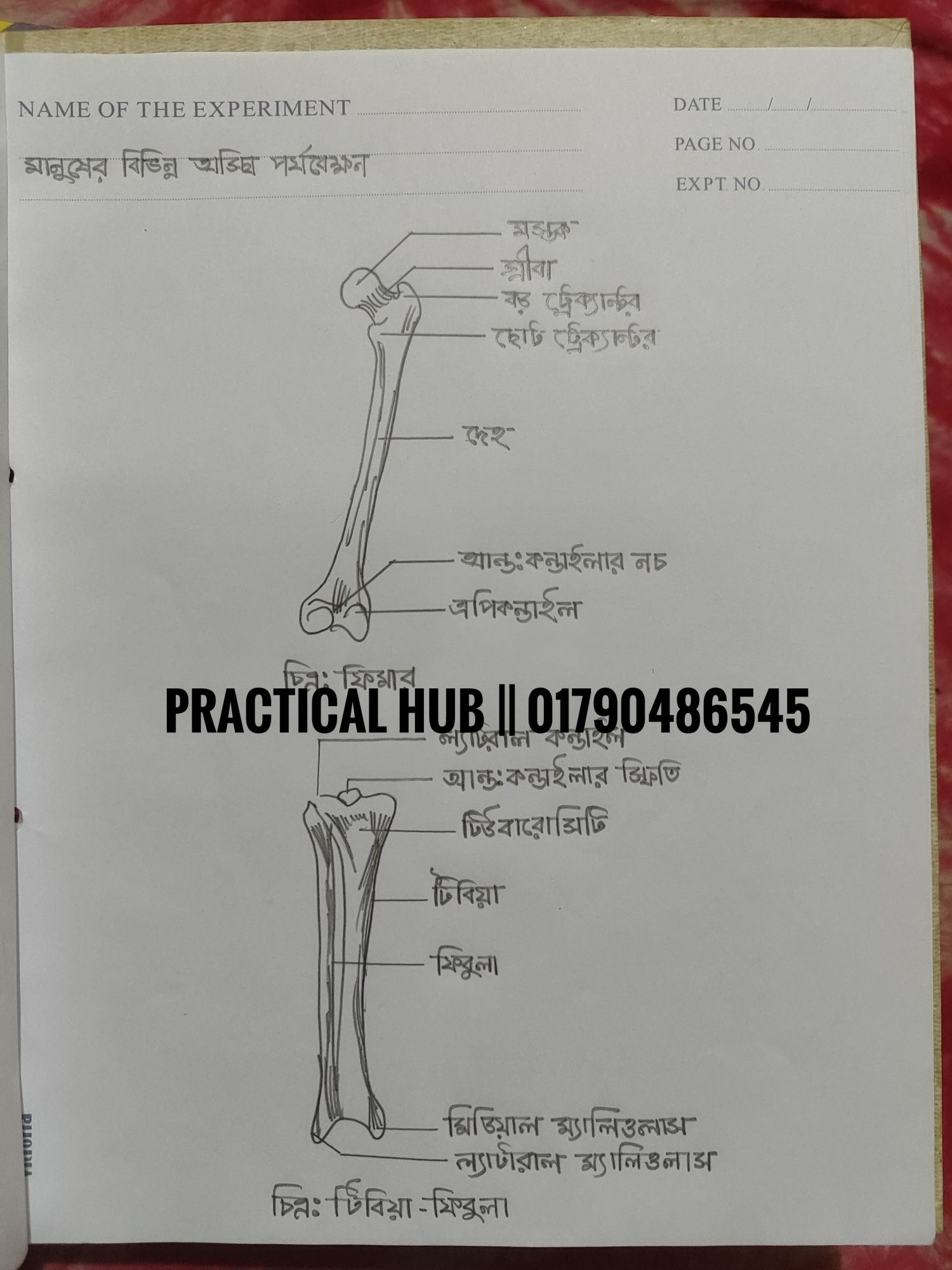 Hsc 2025 Biology 2nd Paper Full Complete Practical Notebook. 