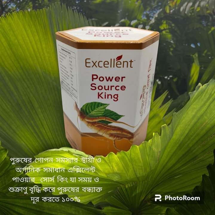 Excellent Power Source King