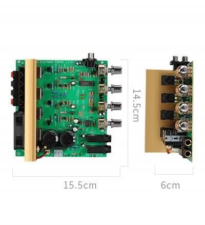 100 Watt HiFi Stereo Amplifier Circuit Board Karaoke With Microphone. 