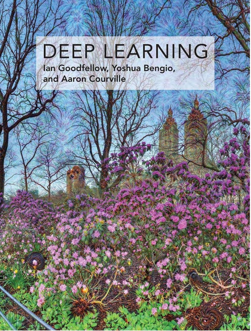 DEEP LEARNING

lan Goodfellow, Yoshua Bengio, and Aaron Courville