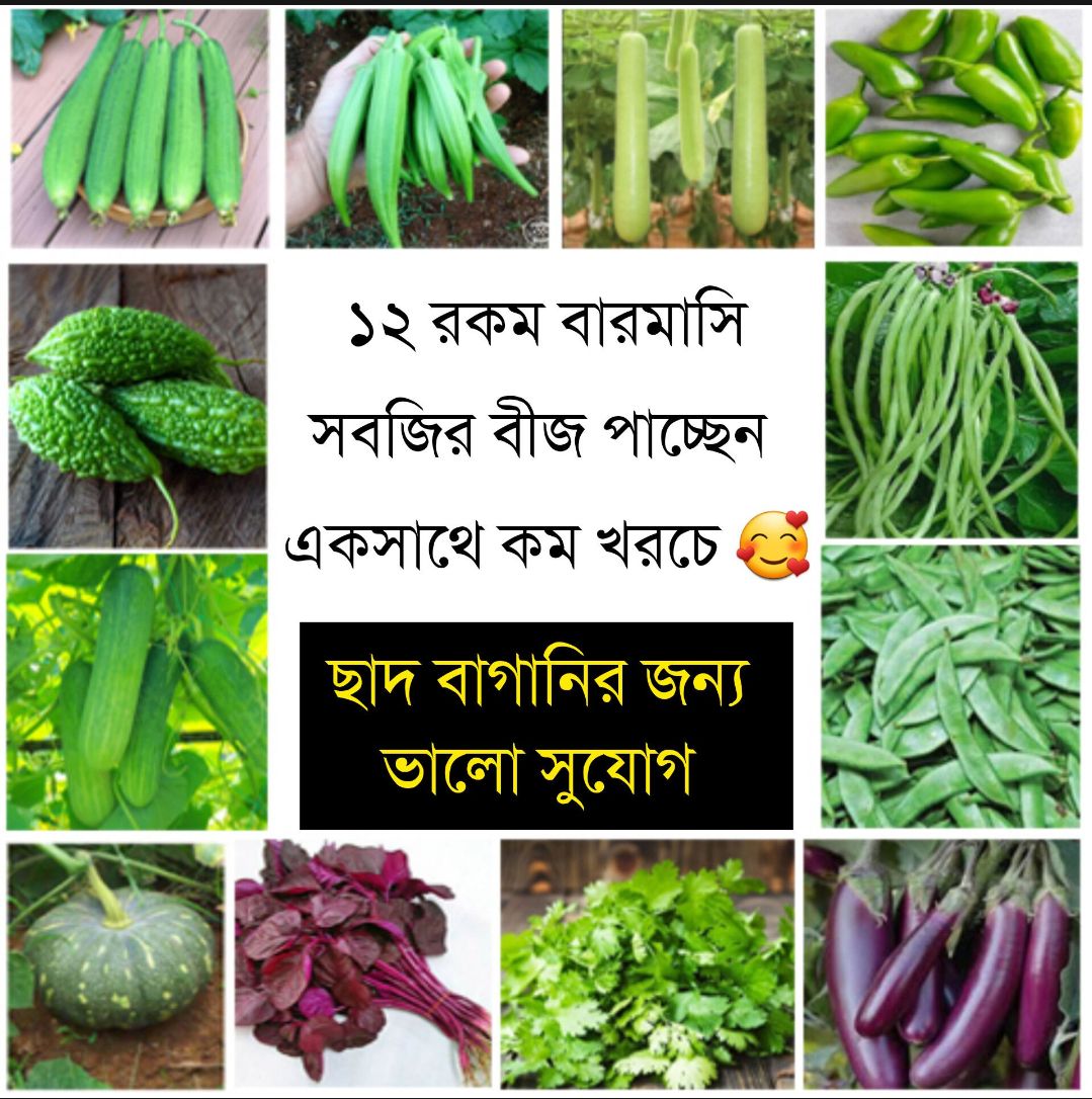 All season 12 Type Vegetables Seed - Korola, Shim, Borboti, Lalshak Data shak, Mishti kumra, lau, Dheros, dhundol, Morich, Dhoniya Seed. 
