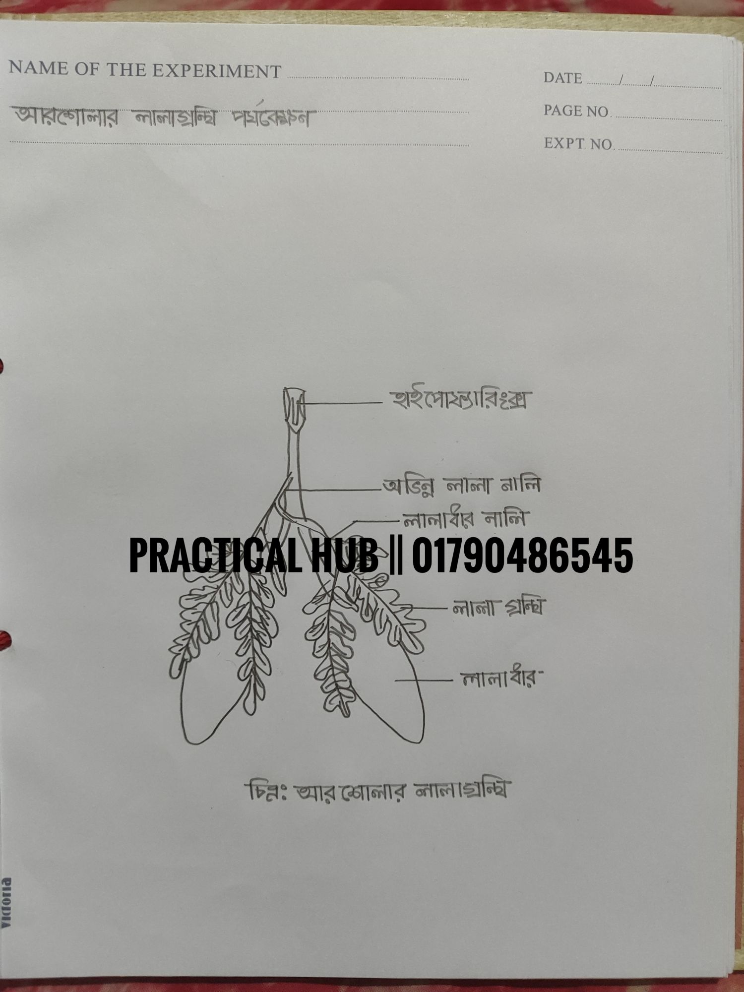 Hsc 2025 Biology 2nd Paper Full Complete Practical Notebook. 