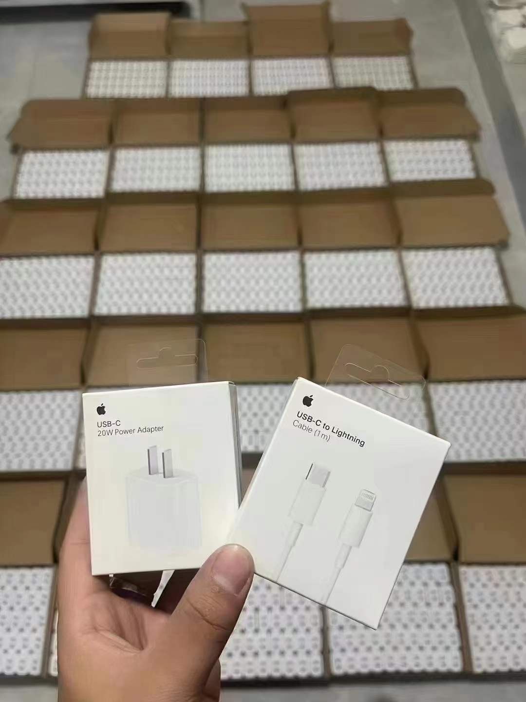 iPhone 20W Fast Charger 2 Pin