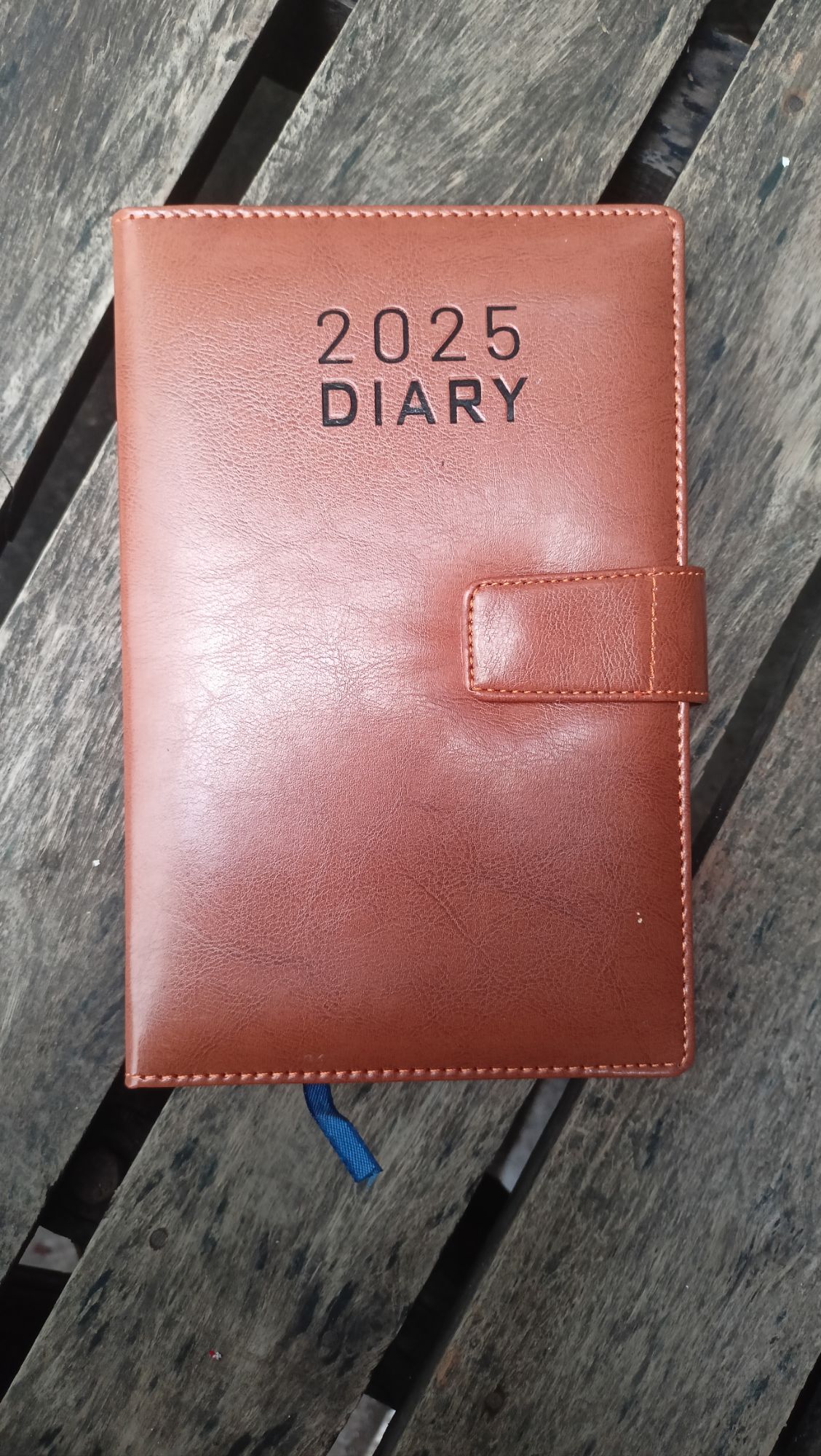 General Magnet Button Diary 2025 (1 date). 