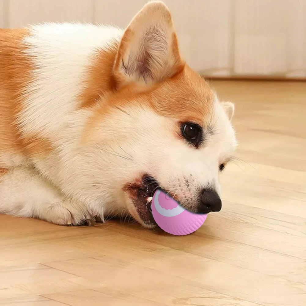 Electric Cat Ball Toys USB Rechargeable Smart Interactive Cat Toy ABS Intelligent Rolling Toy Ball for Kitten Dog Playing. 