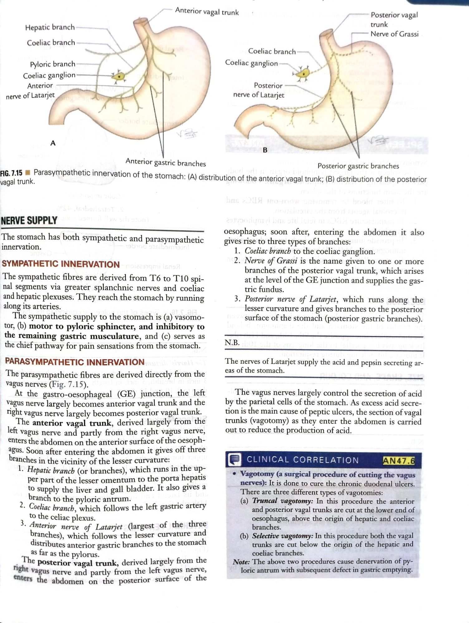 VISHRAM SINGH TEXTBOOK OF ANATOMY - ABDOMEN AND LOWER LIMB (VOLUME 2) FOURTH EDITION. 