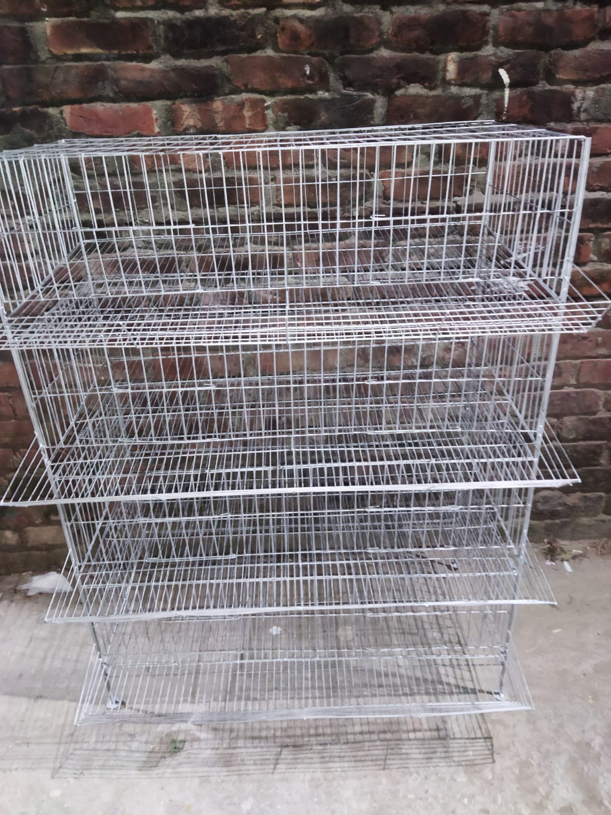 4 floor Koel Bird Cage With Tray for 300 Birds Can Easily Stay Together Cage Size 36"/18"/10-9"  Cash on delivery available. 