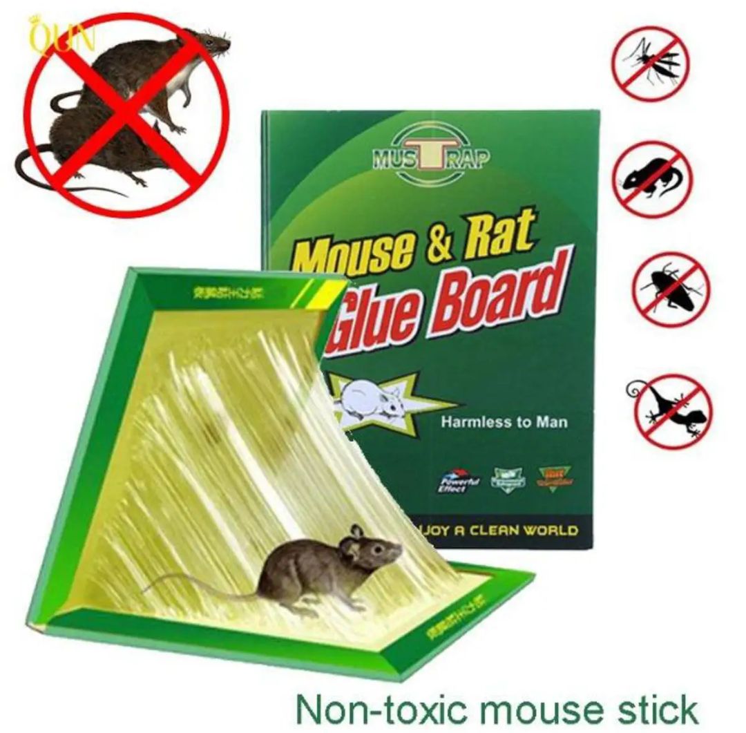 China rat eighteen traps mouse and rat-1 pice -Great to Have. Size- Big, Medium, Small.. 