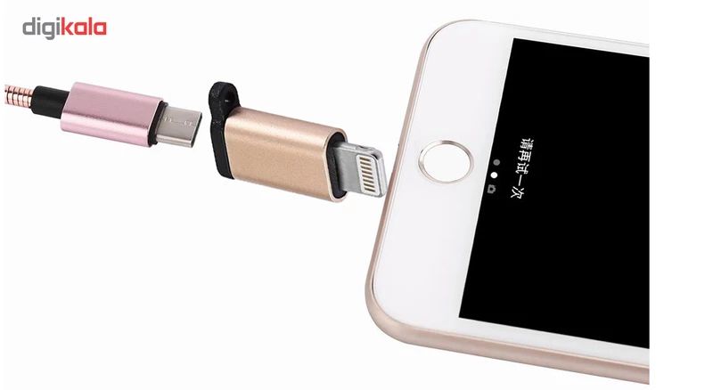 Super Quality Type -C Female To Lighting Male Charging Converter Support Data Transmission Connector Compatible For Iphone