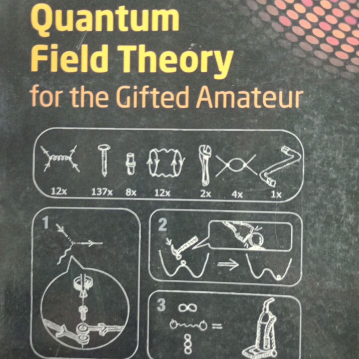 Quantum Field Theory

for the Gifted Amateur. 
