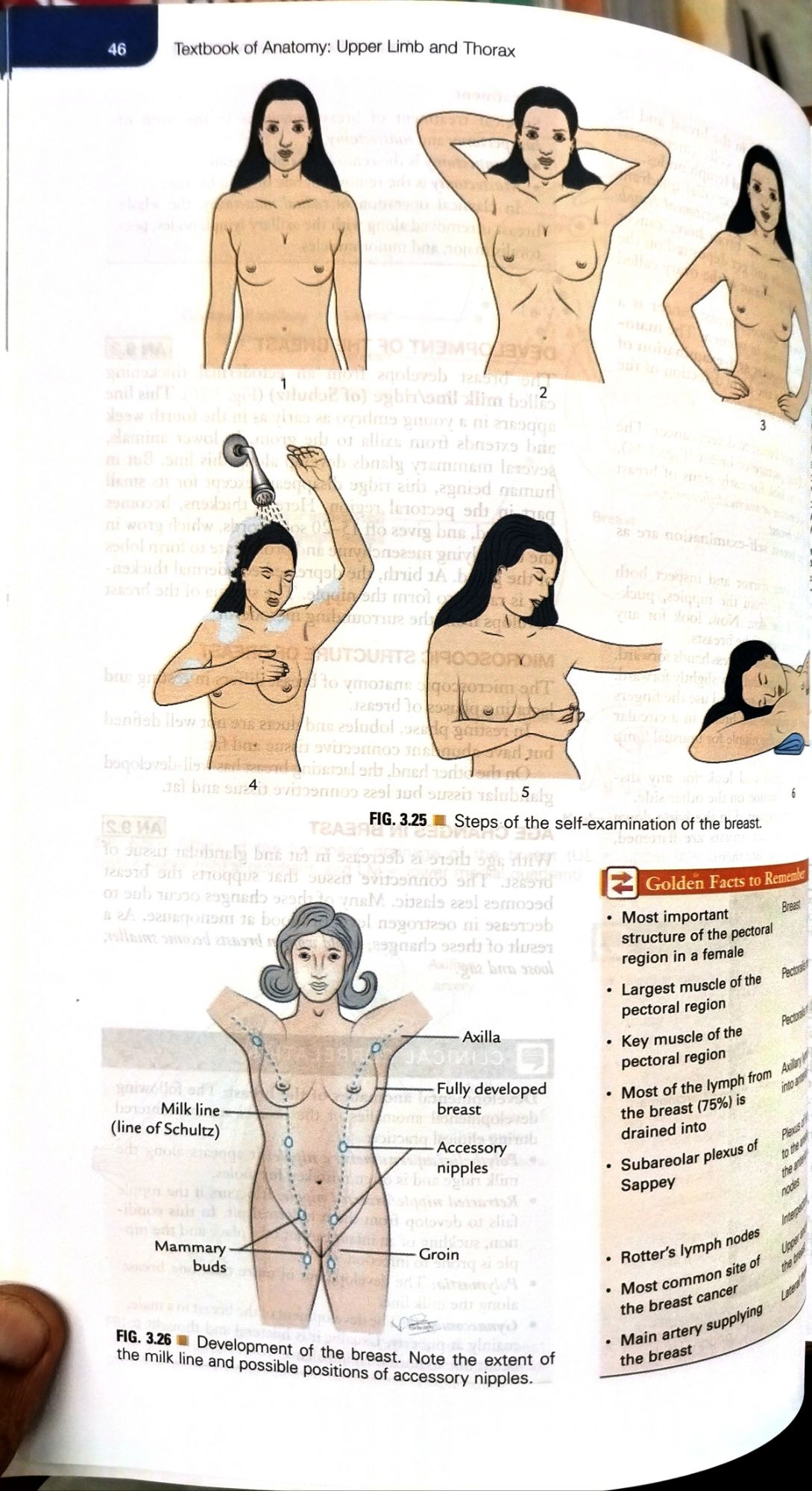 VISHRAM SINGH TEXTBOOK OF ANATOMY - UPPER LIMB AND THORAX ( VOLUME 1 ) FOURTH EDITION. 