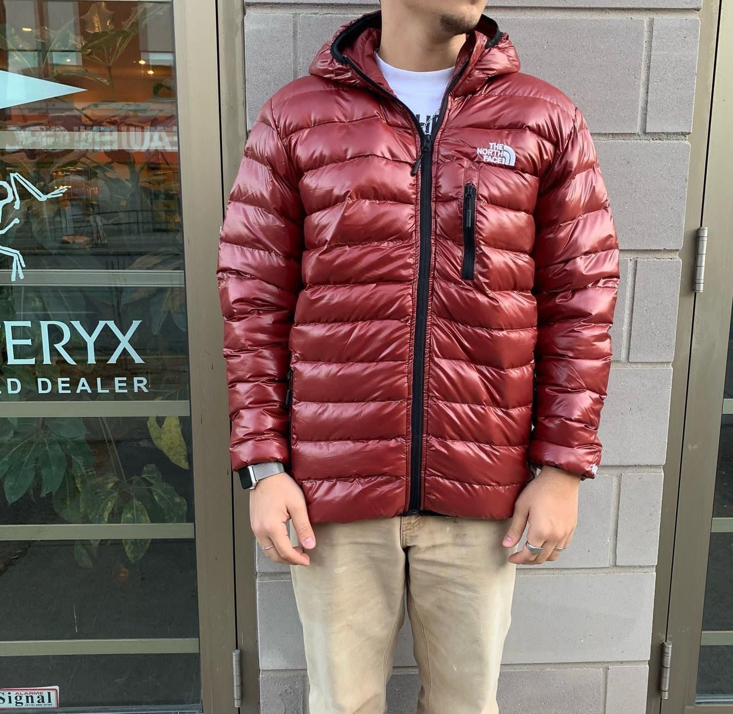 The North face Feather  jacket 800 series. 