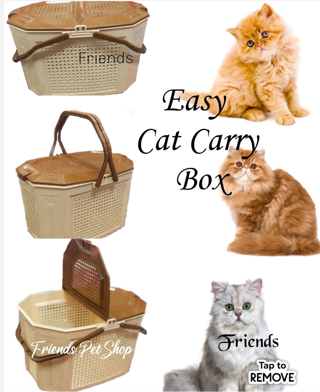 Carry cat best sale